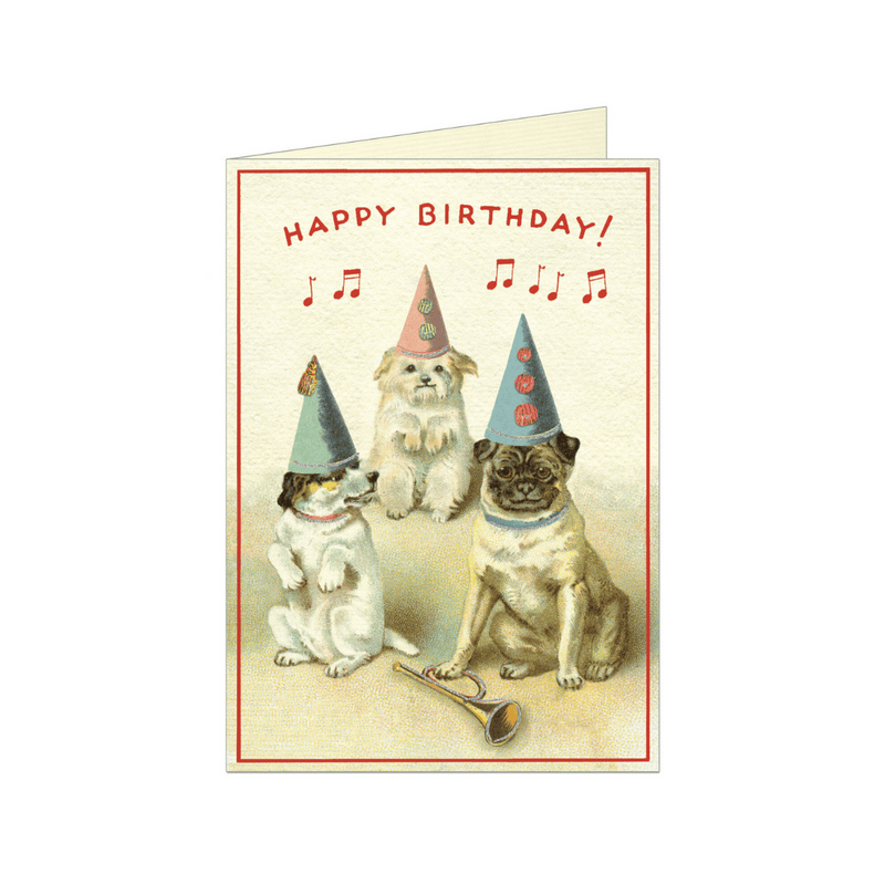 Fødselsdagskort Happy Birthday 3 søde hunde