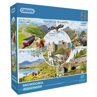 Snowdonia 1000 pieces Gibson 
