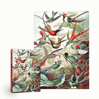 Hummingbirds 1000 brikker vintage puslespil fra Penny Puzzle