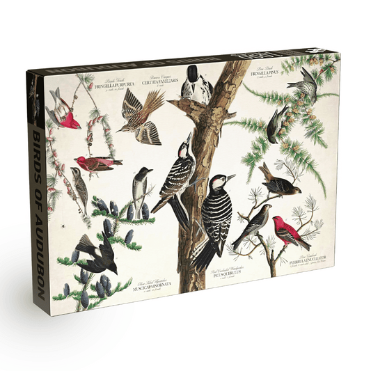 Birds of Audubon 1000 brikker vintage puslespil fra Penny Puzzle