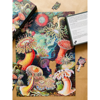 Sea Anemones 1000 brikker vintage puslespil fra Penny Puzzle