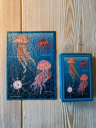 Deep Sea Dancers minipuslespil med 99 brikker fra Penny Puzzle