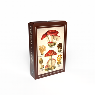 Fungal Studies vintage minipuslespil med 99 brikker fra Penny Puzzle