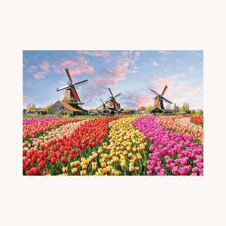 World's Smallest Dutch Windmills 1000 minibrikker puslespil