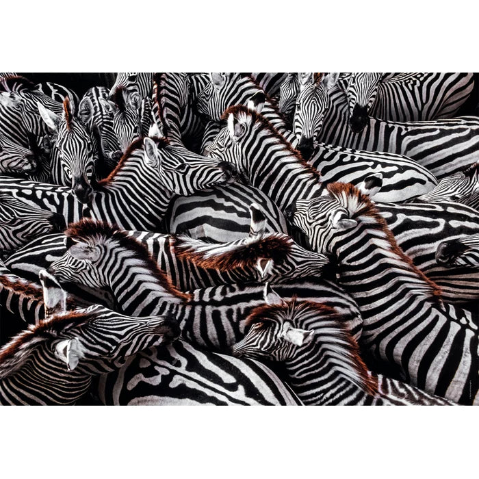 Clementoni 1000 brikker puslespil - Impossible Zebras