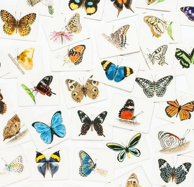 Memoryspil med smukke sommerfugle