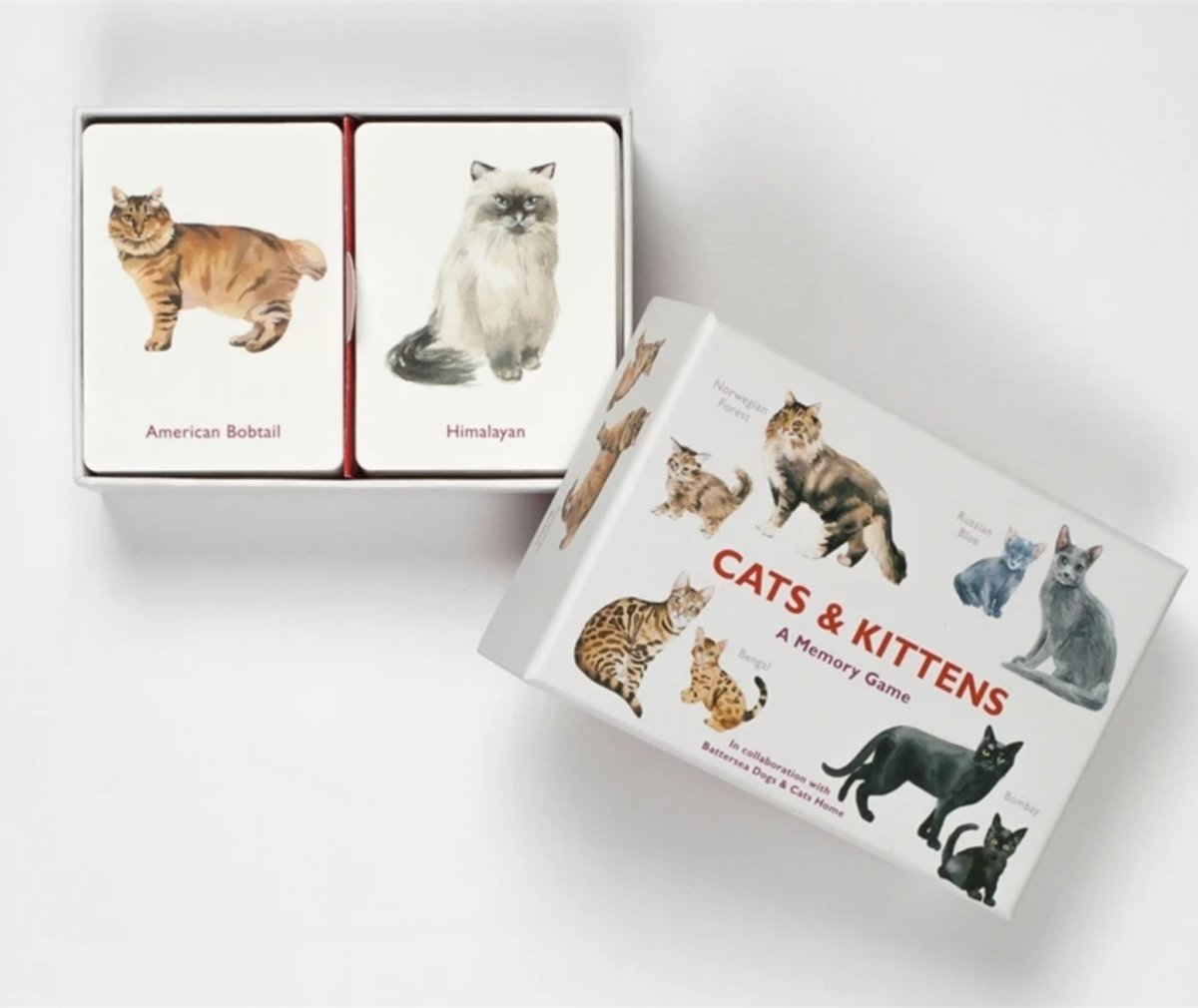 Memoryspil med søde katte og killinger