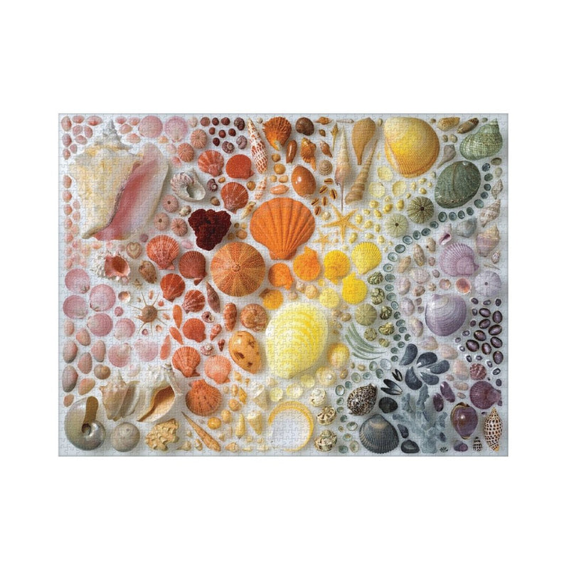 Rainbow Seashells - 2000 brikker puslespil fra Galison